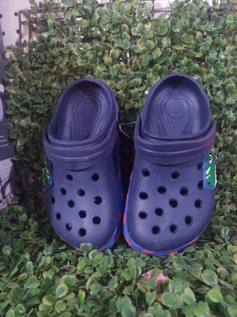 Crocodile Crocs Shoes - Image 4