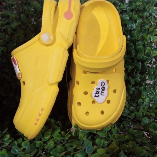 Ladies indoor and outdoors crocs