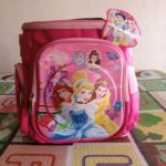 Cinderella lunch box for happy kids