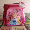 Cinderella lunch box for happy kids