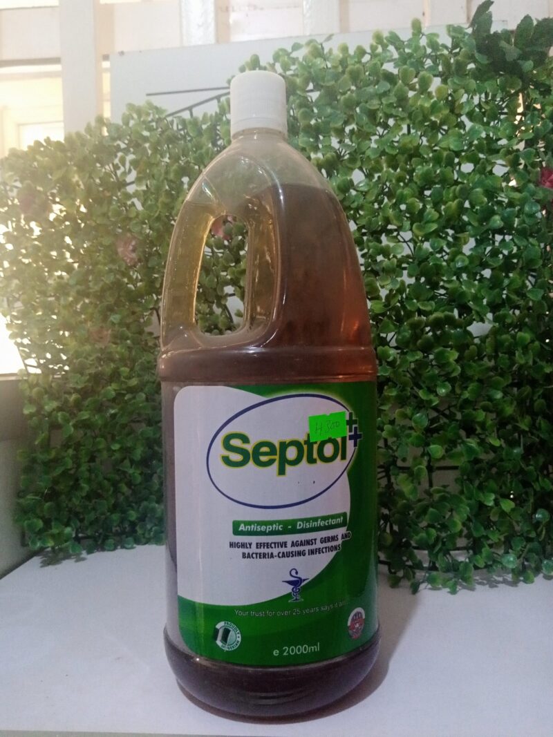 Septol Antiseptics Liquid 2L