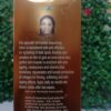 HI- STEE whitening Body Lotion with multi-fruit Extract - Image 2