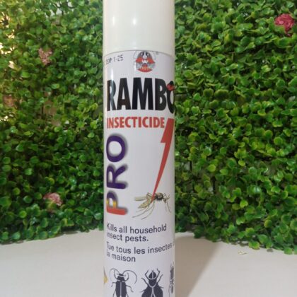 Rambo Insecticide Spray 300ml