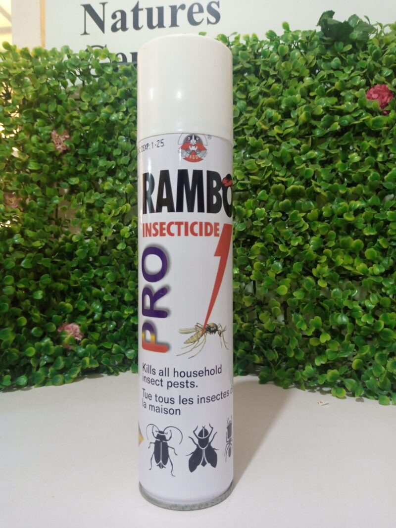 Rambo Insecticide Spray 300ml