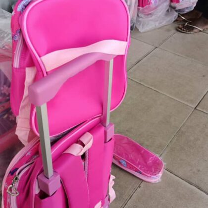 3in1 Trolley Bag