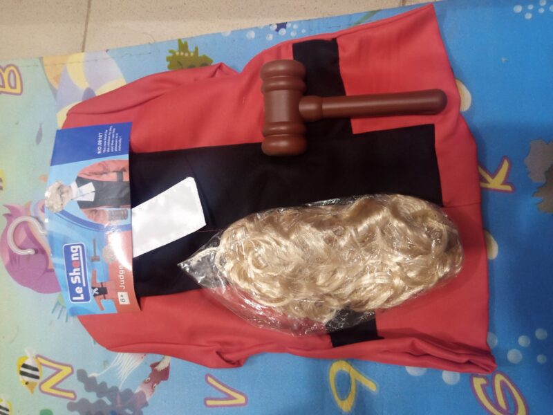 Le Sheng Career Costume for kids - Image 3