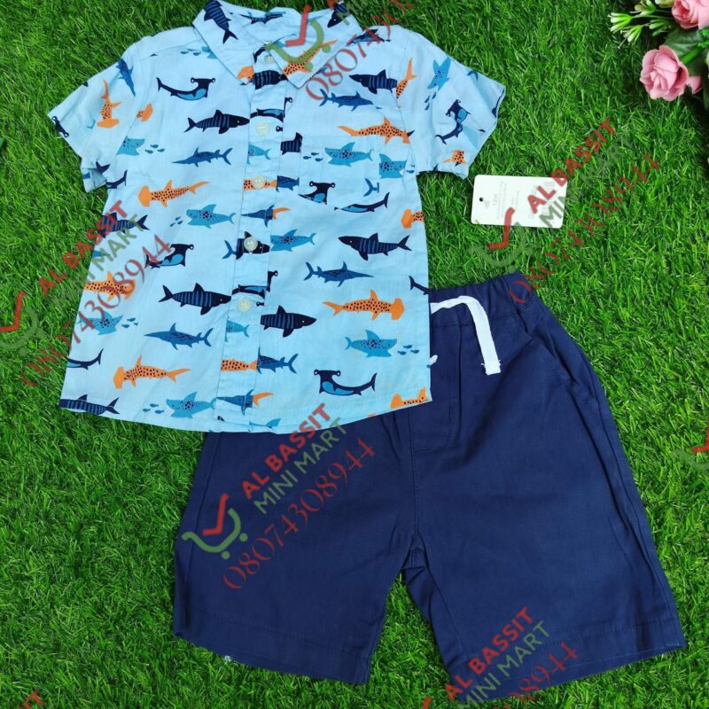 Cute and Koala Shirt and Shorts for boys - Image 5