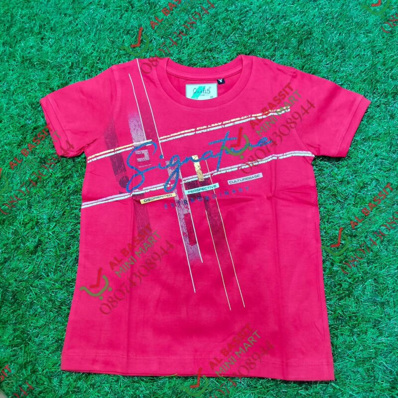 Quality T.shirts for baby boy - Image 2
