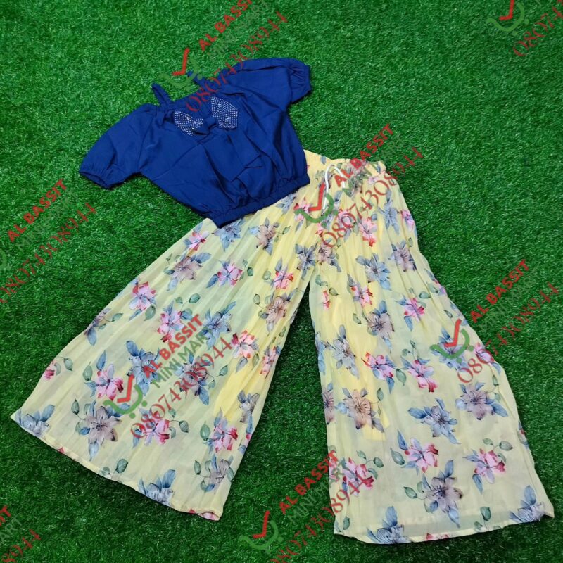 Chiffon Top and Palozo pants - Image 2