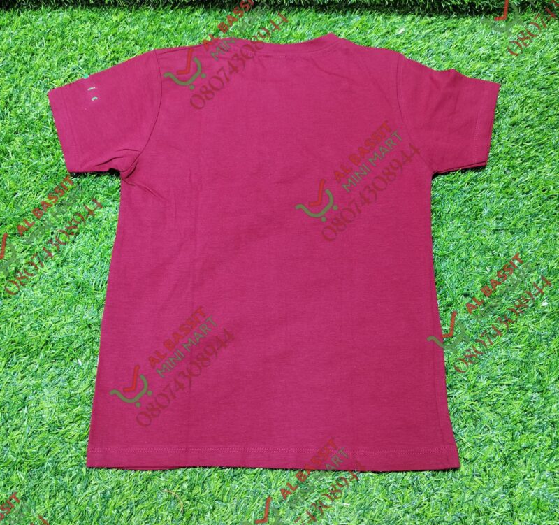 Nirawana Turkey T Shirt for boys - Image 10