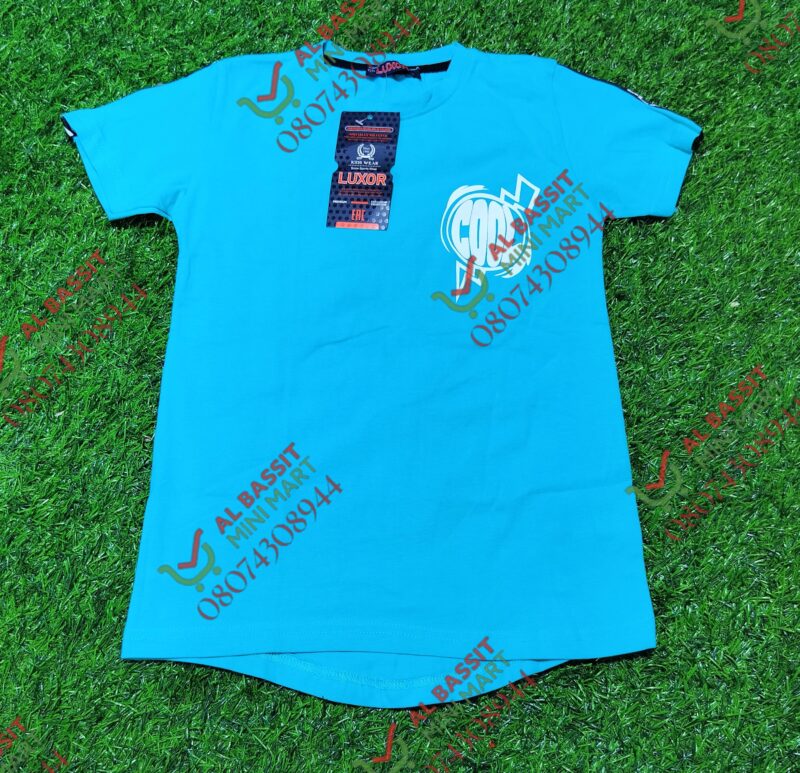 Luxor Turkey T Shirt for boys - Image 3