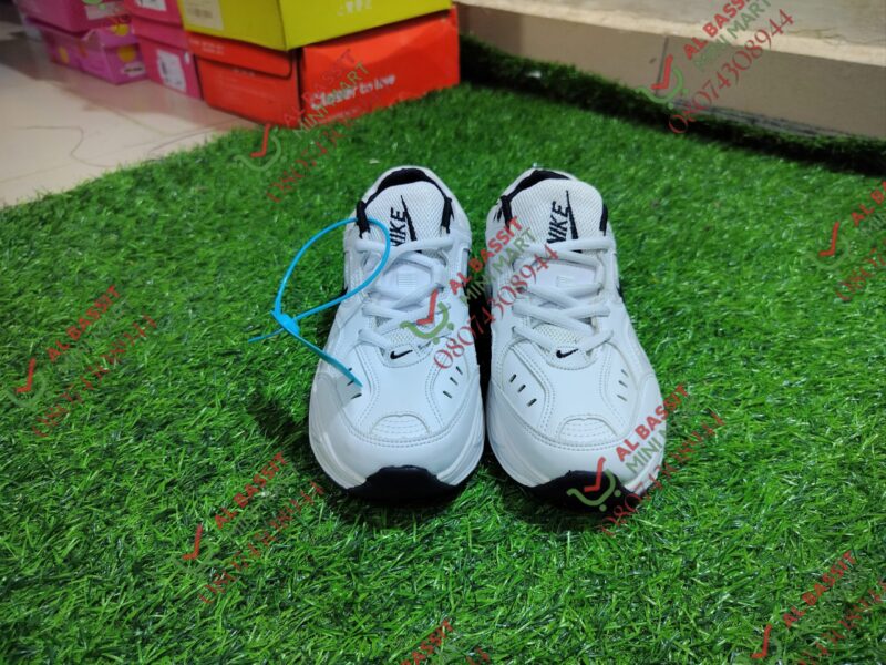 Nike Air Canvas