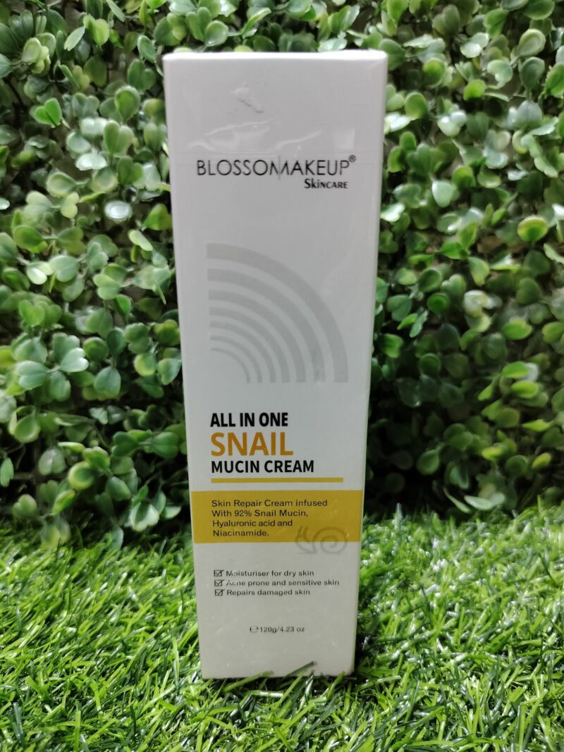 Blossom makeup All in One Snail Mucin Cream. 120g