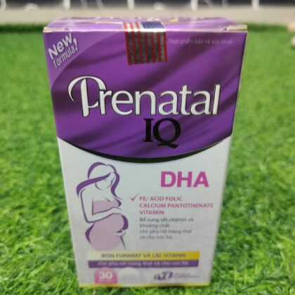 PRENATAL IQ