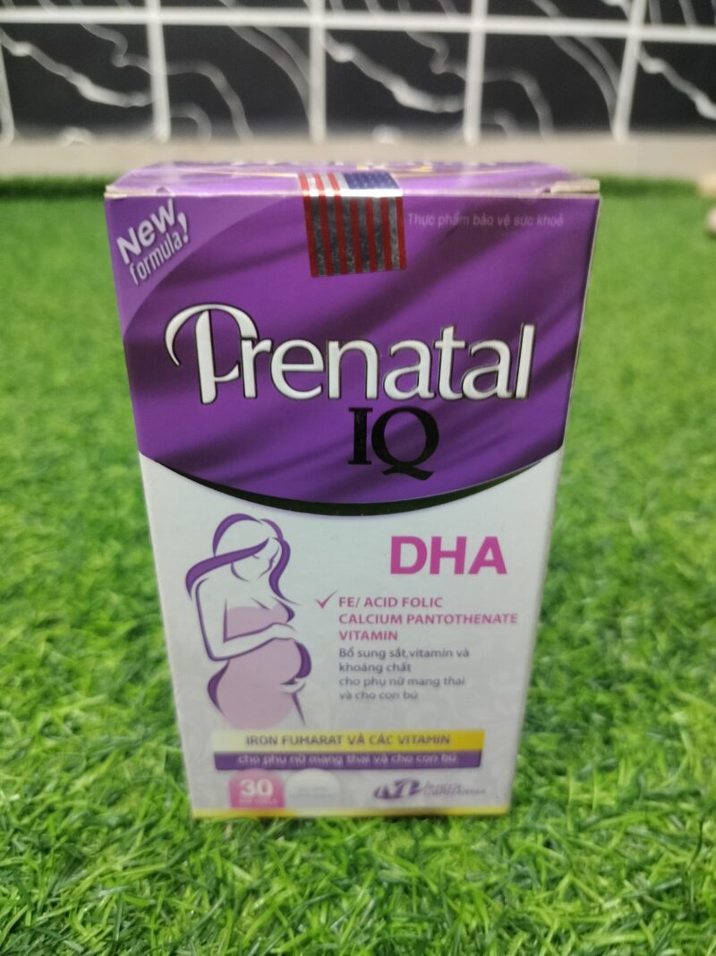 PRENATAL IQ
